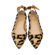 Pointy Knot Leo Orlando-Sella