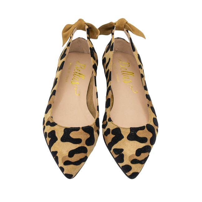 Pointy Knot Leo Orlando-Sella