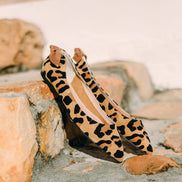 Pointy Knot Leo Orlando-Sella