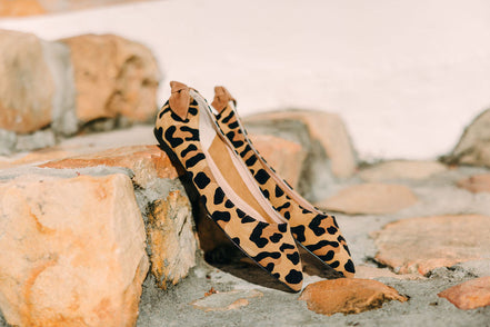 Pointy Knot Leo Orlando-Sella