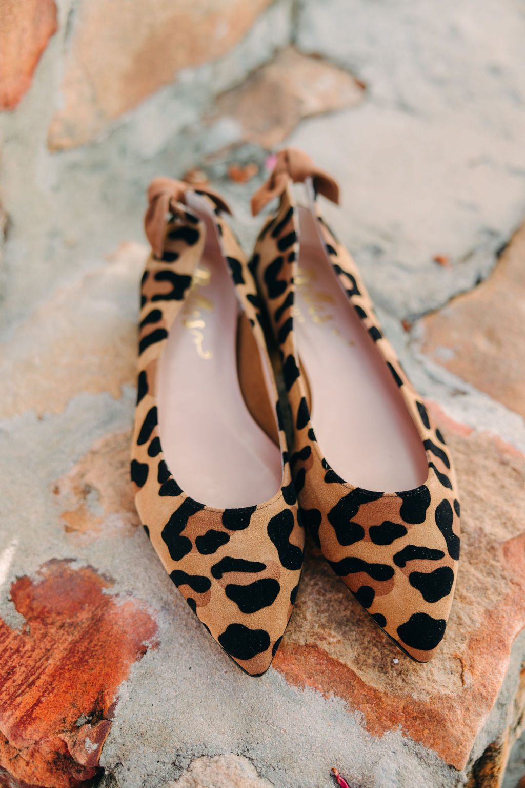 Pointy Knot Leo Orlando-Sella