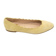 Scalloped Ballerina Citrus