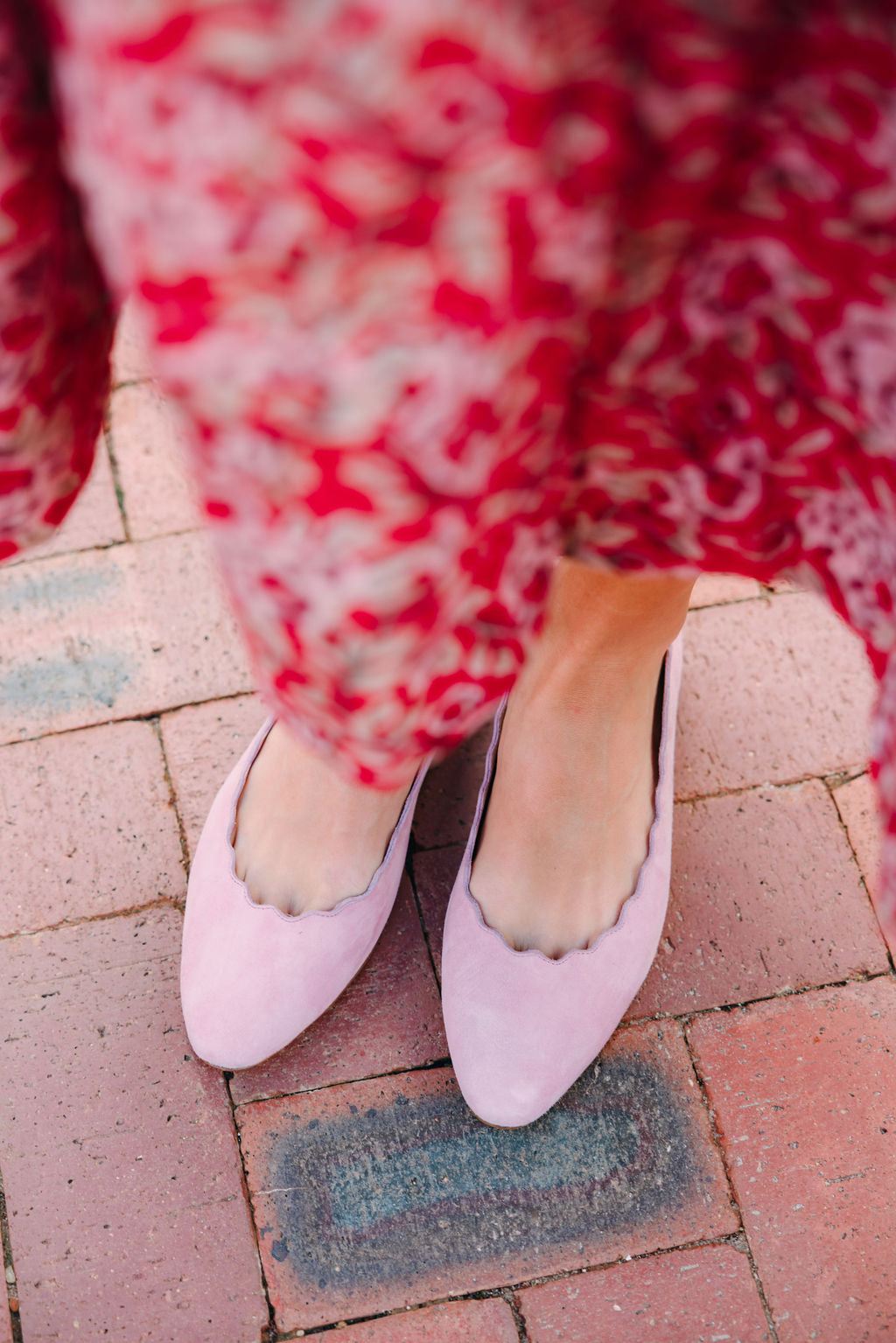 Scalloped Ballerina Rose